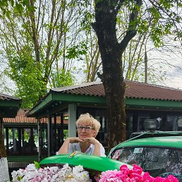 �������, �����, 67 ���