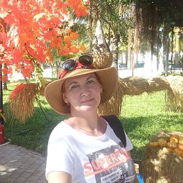 �������, �����������, 52 ����