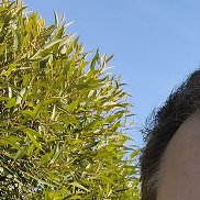 , 55 , 