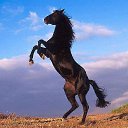 ���� Davron Gulomov, �����, 42 ���� - ��������� 27 ������ 2024