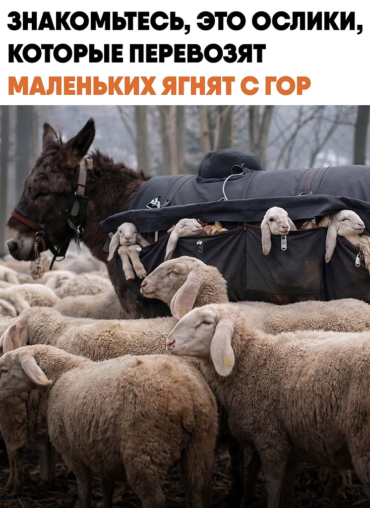 � ��������� �������� ������ ������ �������� �������� �������� ������������� ����� �� ������ ������ ...