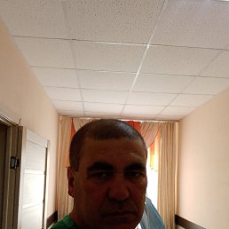 , 50 , 