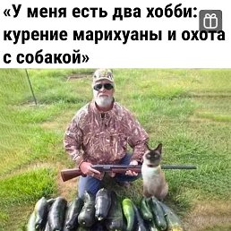 �����, ���������, 91 ���