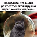 ���� ����, ��������� - ��������� 13 ������� 2025 � ������ ������ ��������