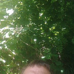 , 35 , 