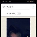  ,  -  14  2024    