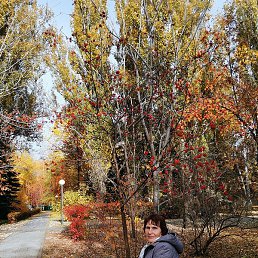 ������, ����, 75 ���