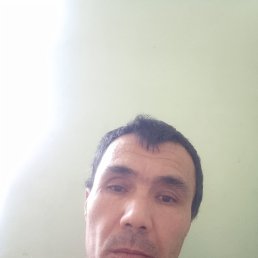 ����, 41 ���, ���������