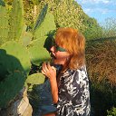 ���� ������, �����-��������� - ��������� 2 �������� 2025 � ������ ���� ����������