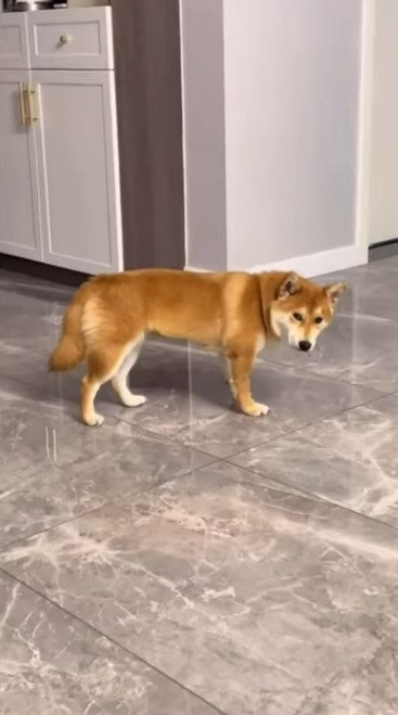 ,       - 2