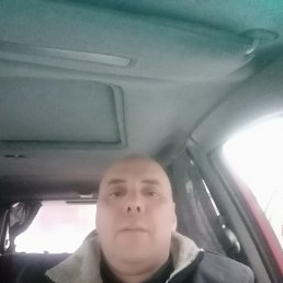 ����, 41 ���, �������