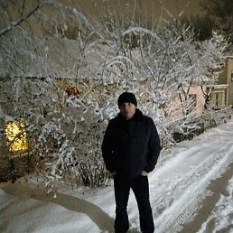 ��������, ������, 51 ���