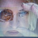 ���� Irena, ������ - ��������� 15 ������� 2025