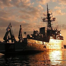 �������, �����������, 63 ����