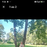 ������, 46 ���, ������