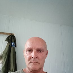 , 53 , 