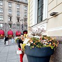  , -, 62  -  24  2023    