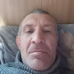 ������, ������, 41 ���