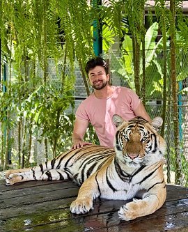 ����, , ������