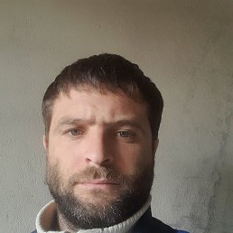 , 37, 