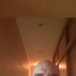 , 42, 
