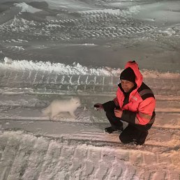 �����, ������, 54 ����