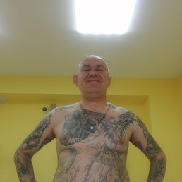 ���� ������, �����, 48 ��� - ��������� 16 ������ 2026