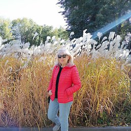 Irina, �������