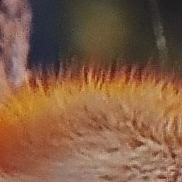 ������, �����-���������, 60 ���