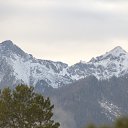  , -, 42  -  21  2025    