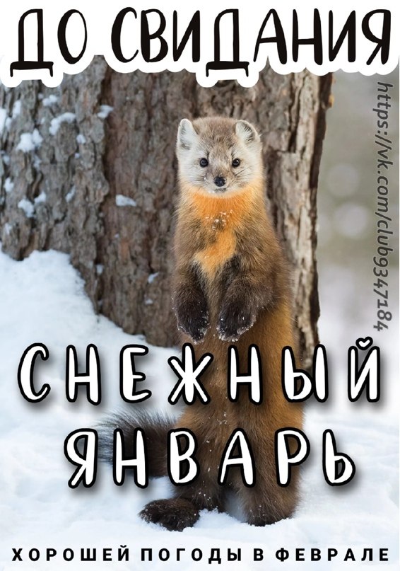 ������ �������...