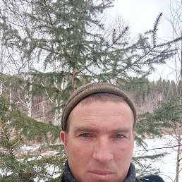 , 38, 