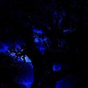 ���� Giovanni, �����-��������� - ��������� 5 ������� 2025 � ������ ������ ��������