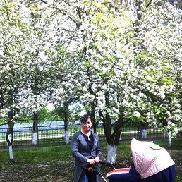 ������, ������, 57 ���