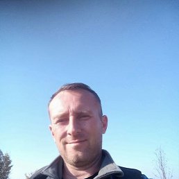 ���� ����, �����-���������, 43 ���� - ��������� 23 ������� 2023