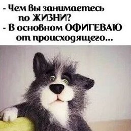 ���, �����������, 53 ����