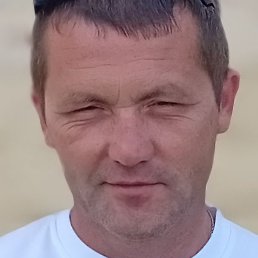 ����� �����, ������, 40 ���