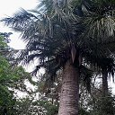 ���� �����, �������, 41 ��� - ��������� 16 ������� 2024 � ������ ���� ����������