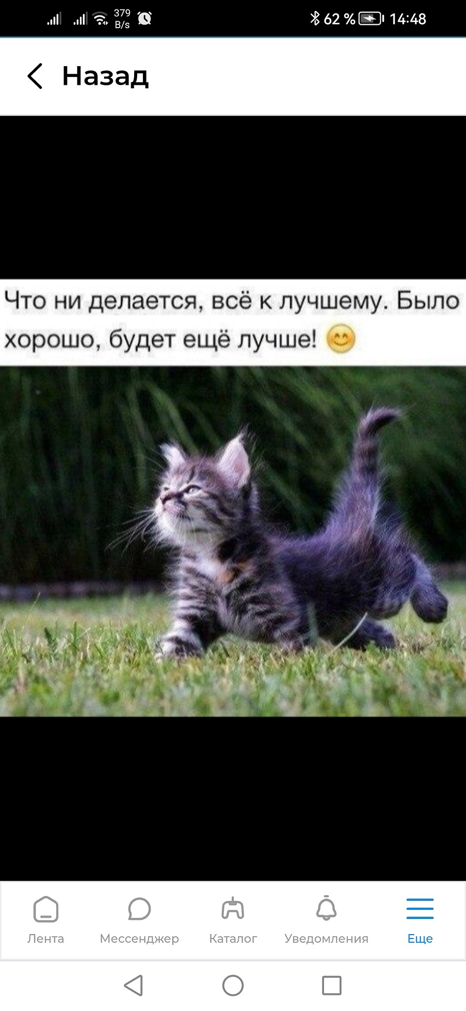 ������� - 15 ������ 2026 � 00:43