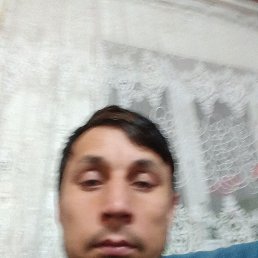 ���� ������ ���, ���, 34 ���� - ��������� 31 ����� 2024