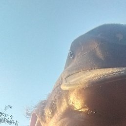 Serzh01, ������, 52 ����