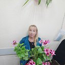 ���� ��������, �����, 50 ��� - ��������� 9 ������ 2024