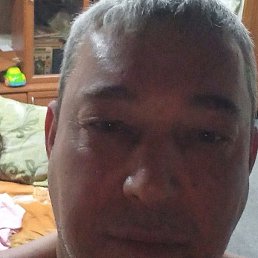 �������, ���������, 44 ����