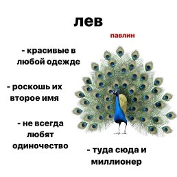 ������, ��������, 57 ���