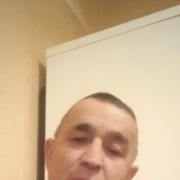 , 55, 