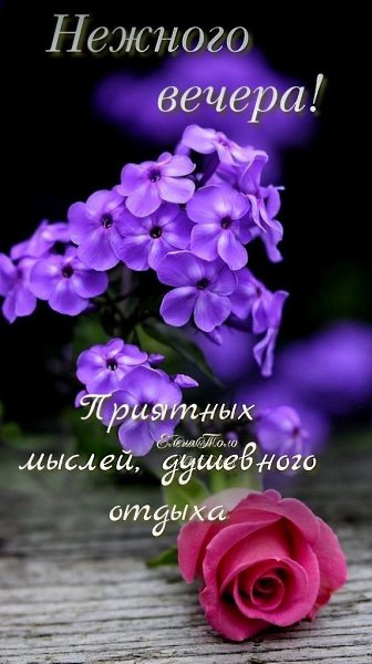   ,    . - 24  2025  20:37 - 2