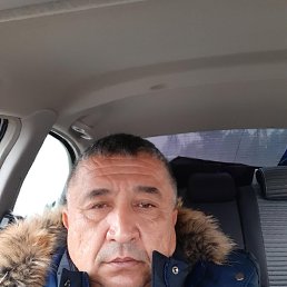 , 53, 