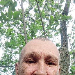 , 55, 
