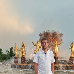 �������, 39 ���, �����