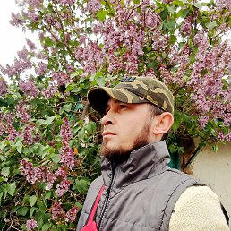 , 29, 